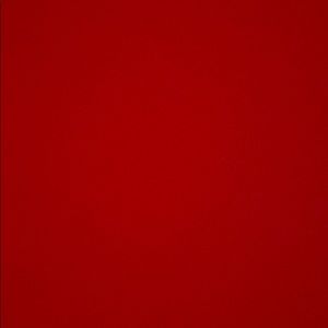 Meet your Posher, Samyra